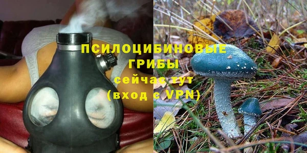 прущий лед Бронницы