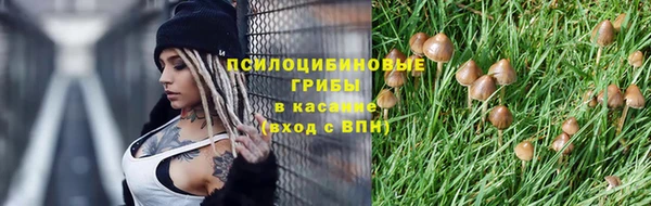 mix Бородино